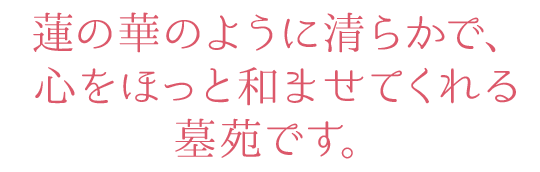 蓮の華のように清らかで、心をほっと和ませてくれる墓苑です。